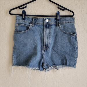 Everlane Way-High Denim Short 29